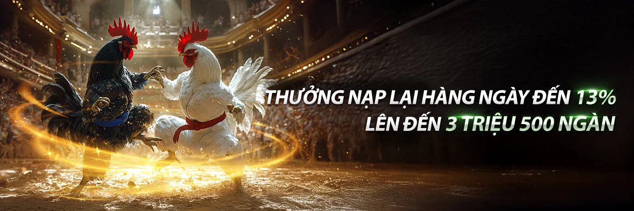 Đá gà trực tuyến x8 code - Sân đấu kịch tính